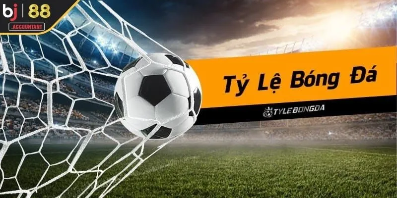 Giải mã tỷ lệ kèo bóng đá từ a đến z cho tân binh