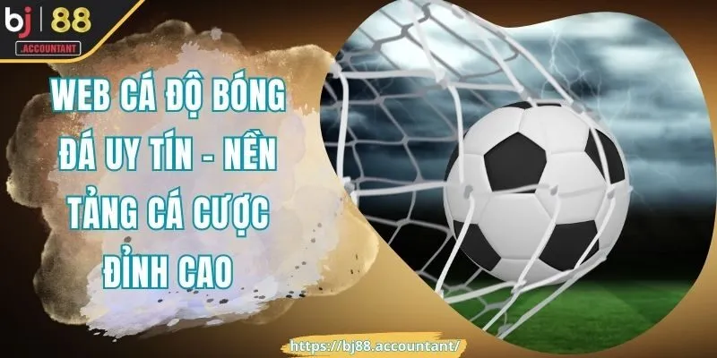 web cá độ bóng đá