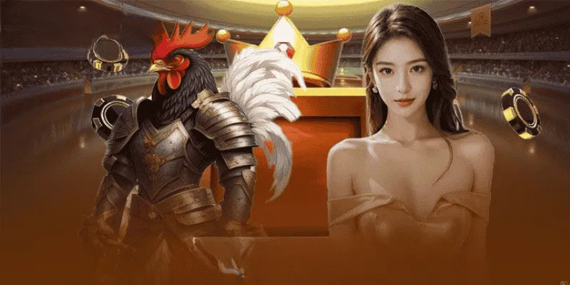 Trực tiếp đá gà Thomo có đủ ở các sảnh